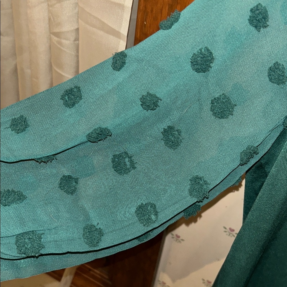Bothenial Green Blouse with Sheer Sleeves - Picture 3 of 5
